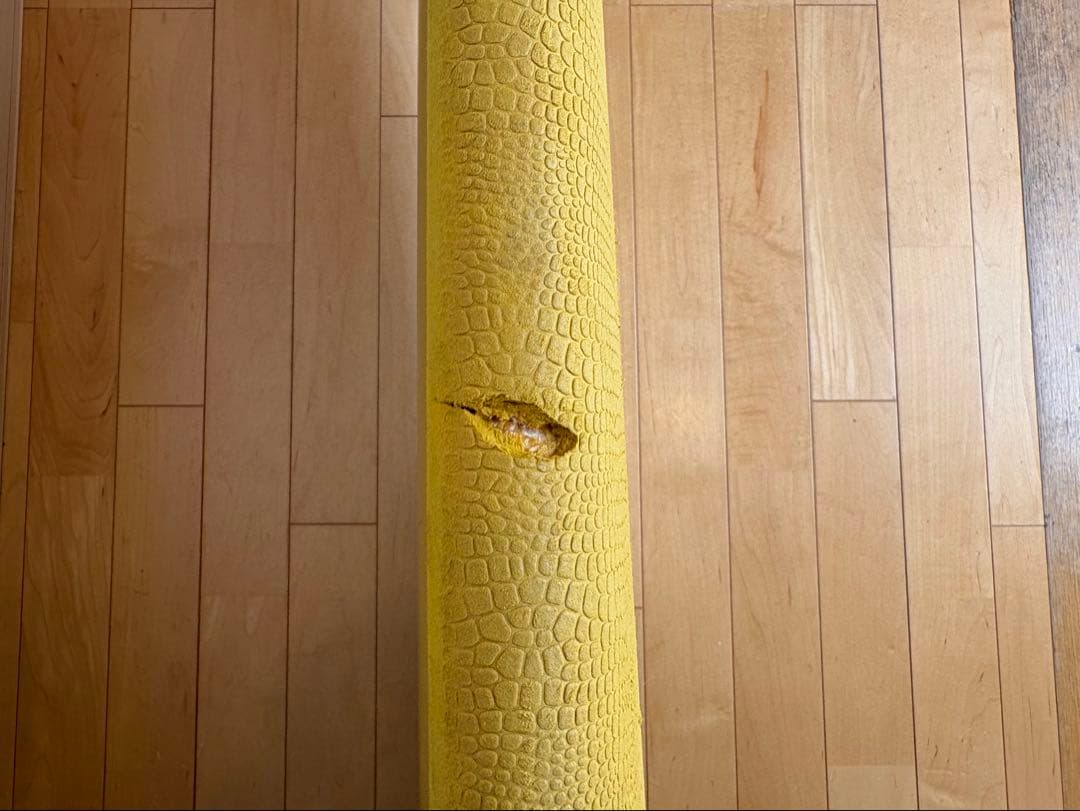 クライムサーフボード　ソフトボード　CRIME STUBBY 8.4 手渡し限定