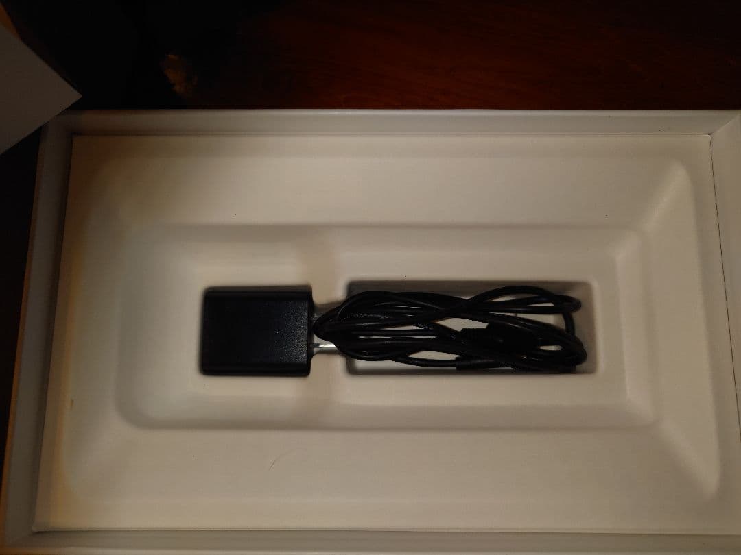 楽天ペイターミナル　赤