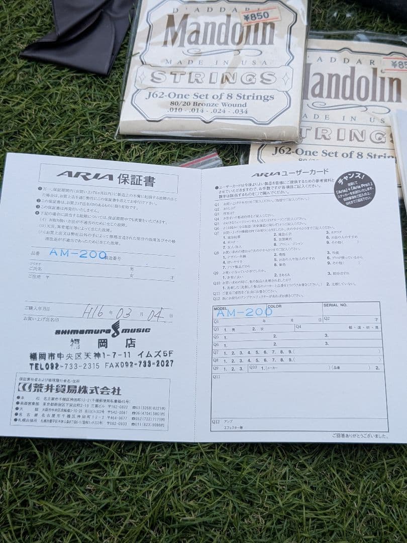 美品 Aria AM-200 フラットマンドリン バードケース付属品多数 アリア