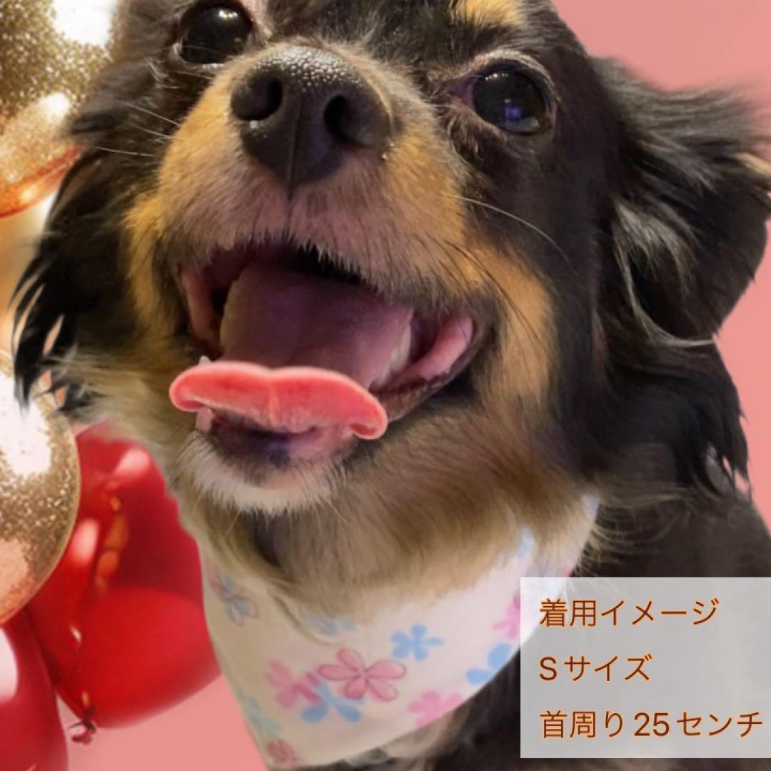 犬ネコ用リバーシブルバンダナ★着用イメージ写真★