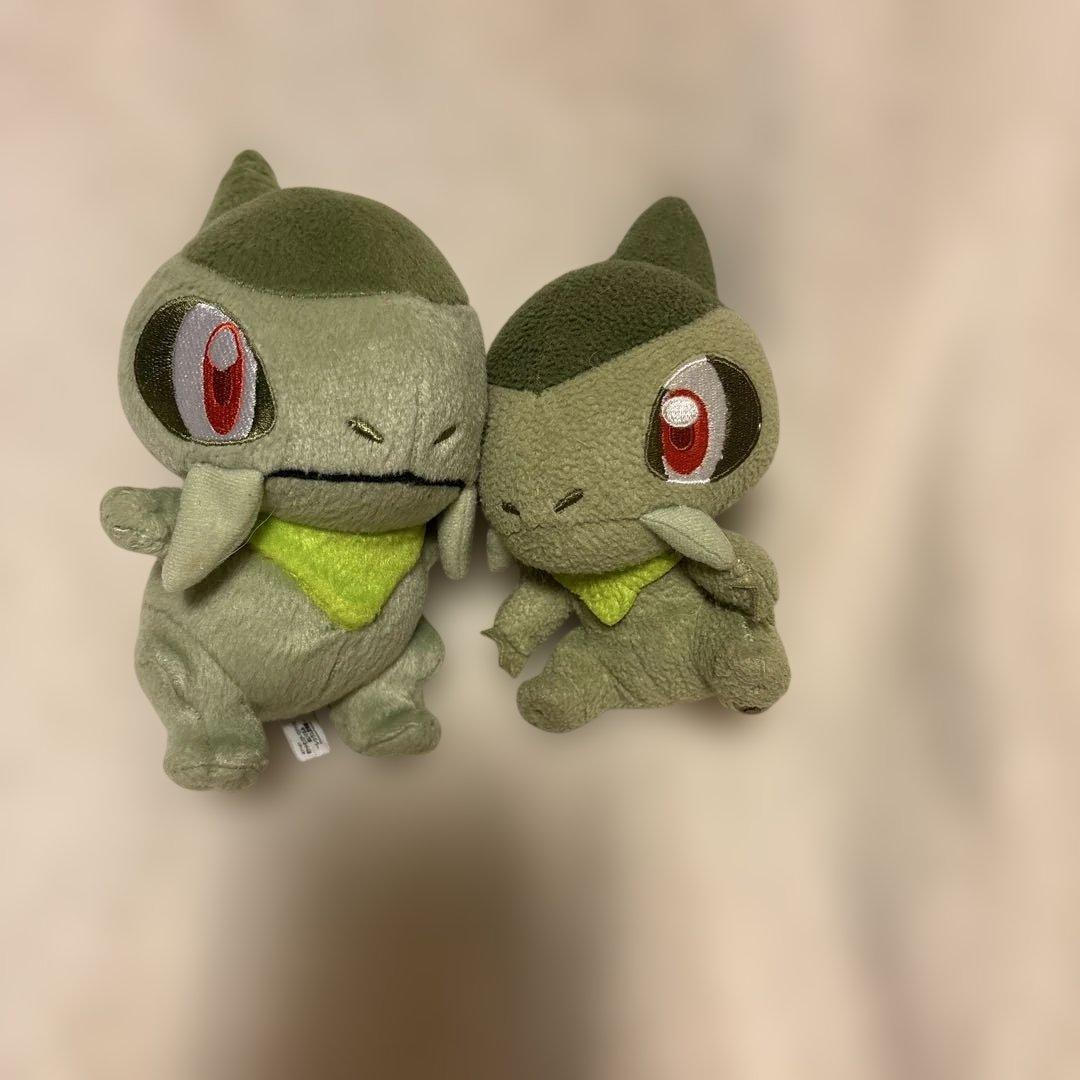 ポケモン　マスコット　ぬいぐるみ　キバコ　紙タグなし