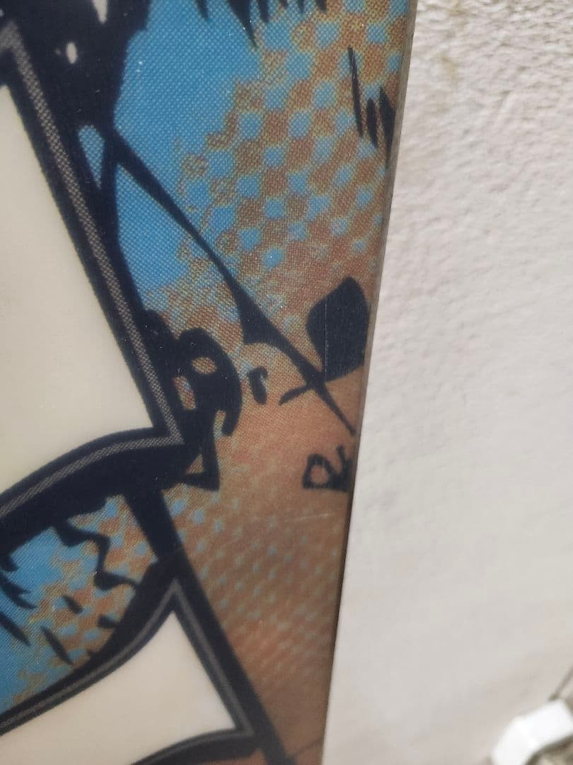 激レア ワンピースコラボ SALOMON スノーボード メンズ コレクション