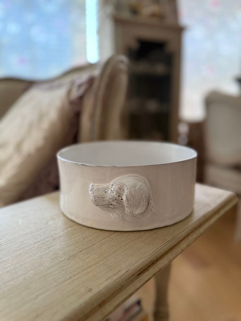 キャロンcarronドッグフードボウル犬用食器 アスティエ