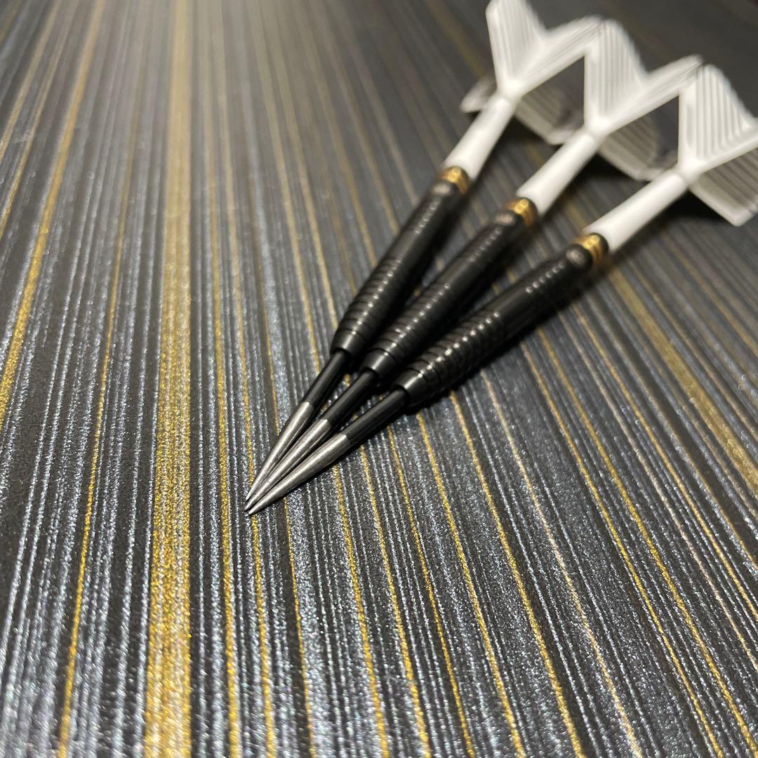 定価11800円 スティールダーツ ハードダーツ ダリルガーニー 23g