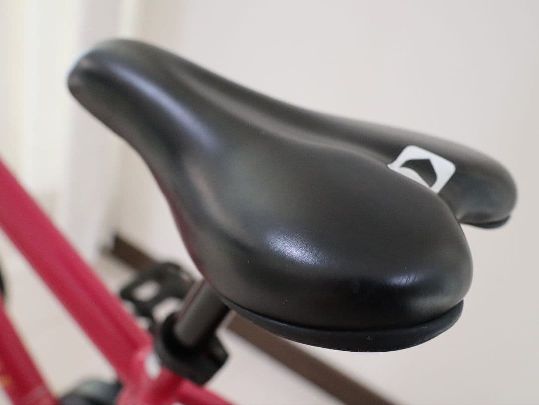 【埼玉県近郊受け渡し希望】ルイガノ18インチ キッズサイクル