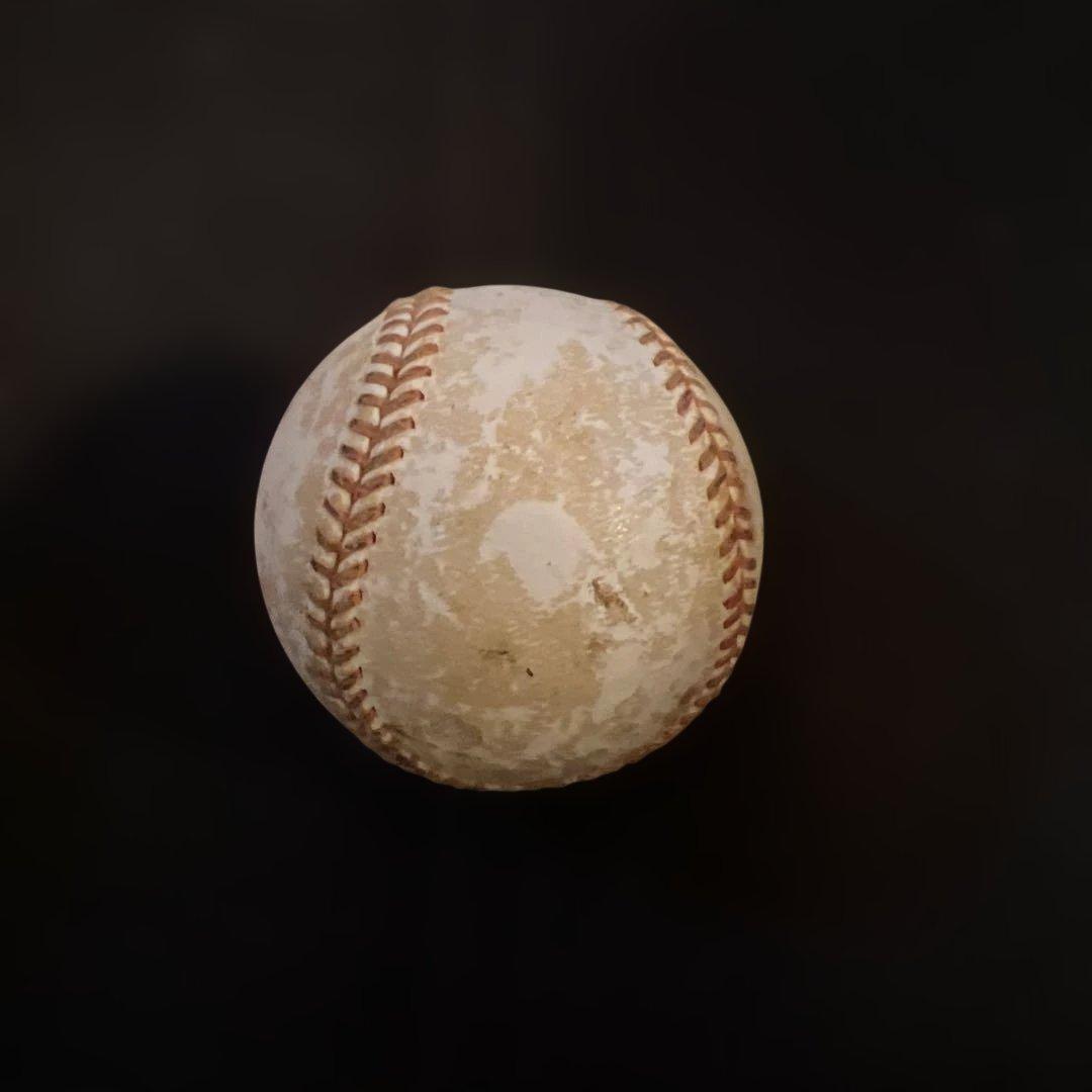 今は亡き長嶋茂雄選手のサインボール