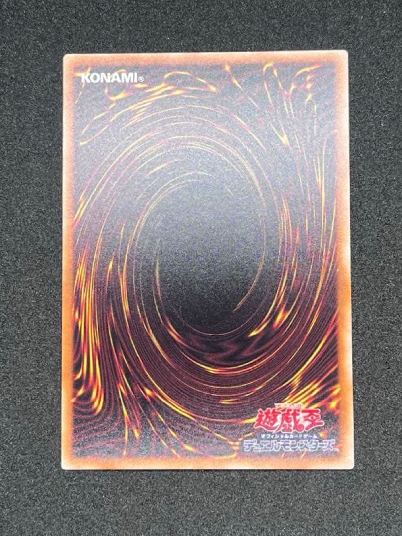 ゆ*と様 【完美品級】ブラックローズドラゴン　20th