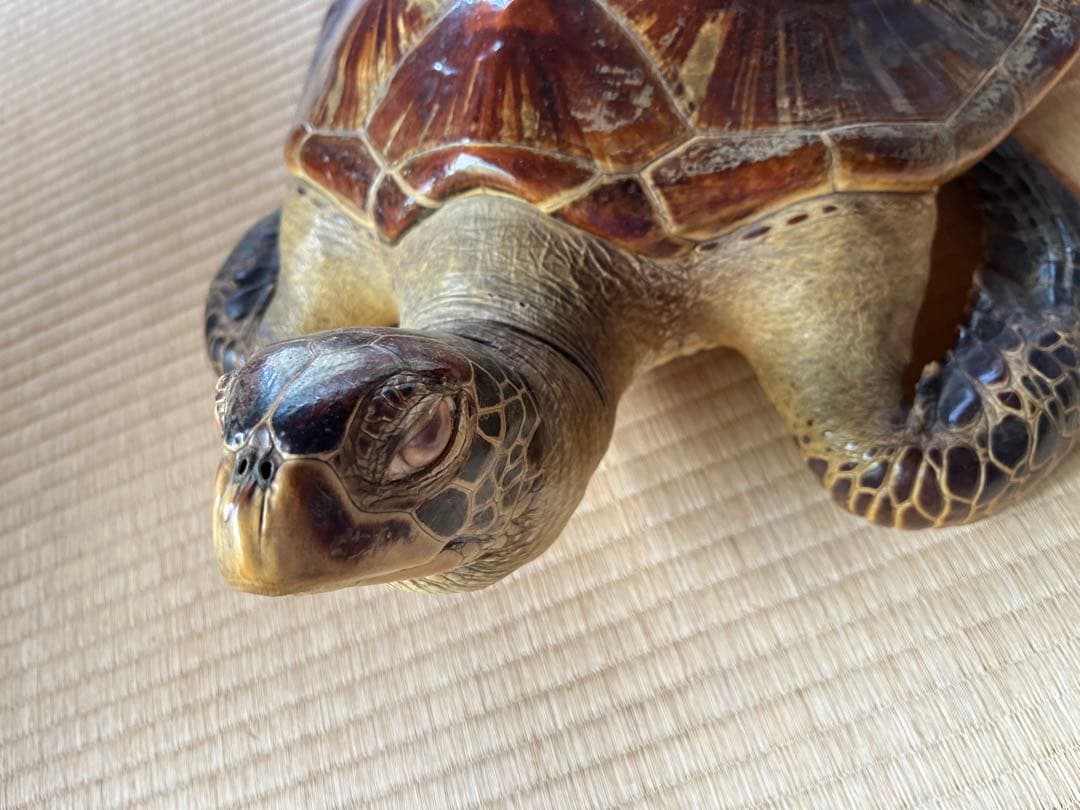 亀　 置物　※発送は年明けになります