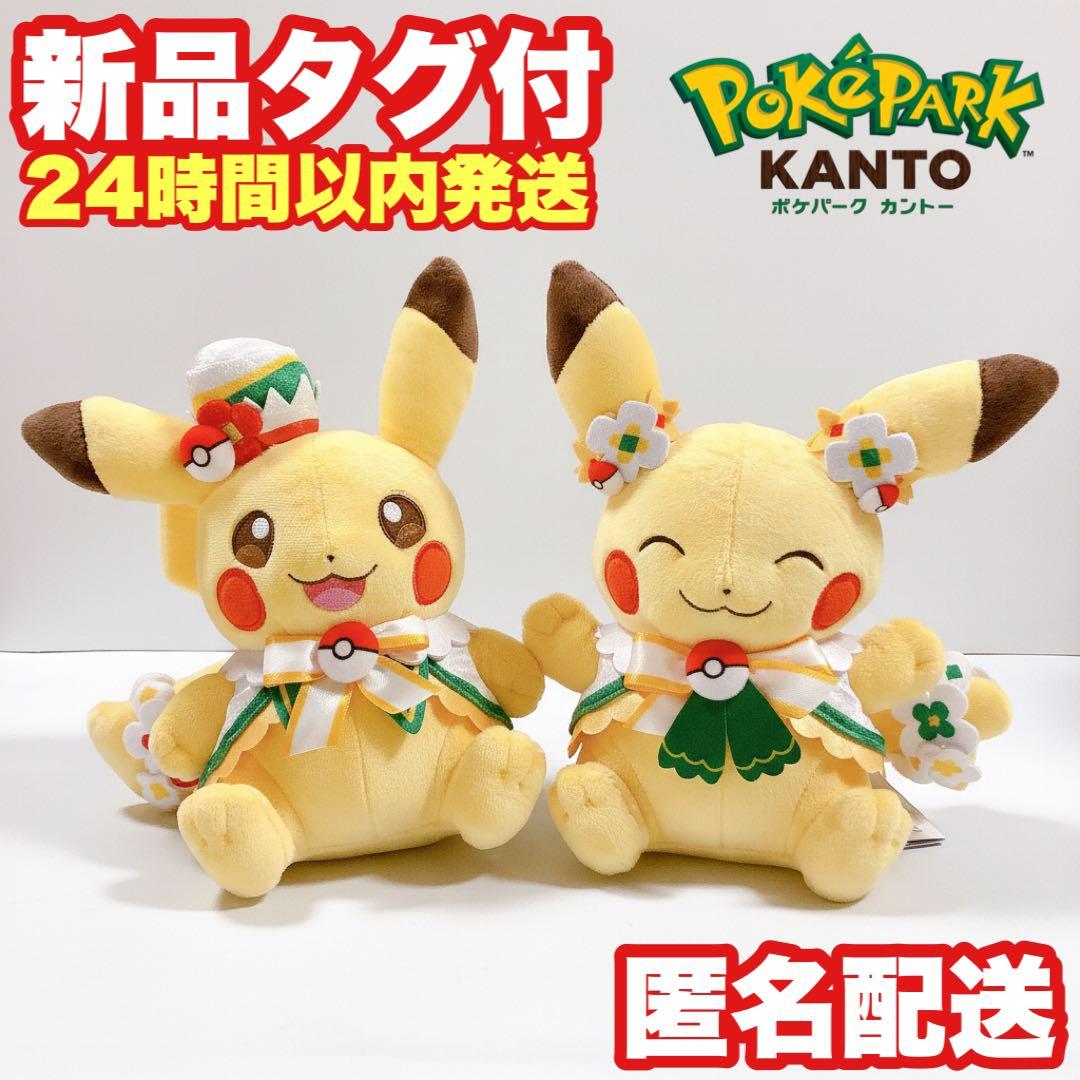 【2種セット】ポケパークカントー ピカチュウ ぬいぐるみ カーニバル衣装