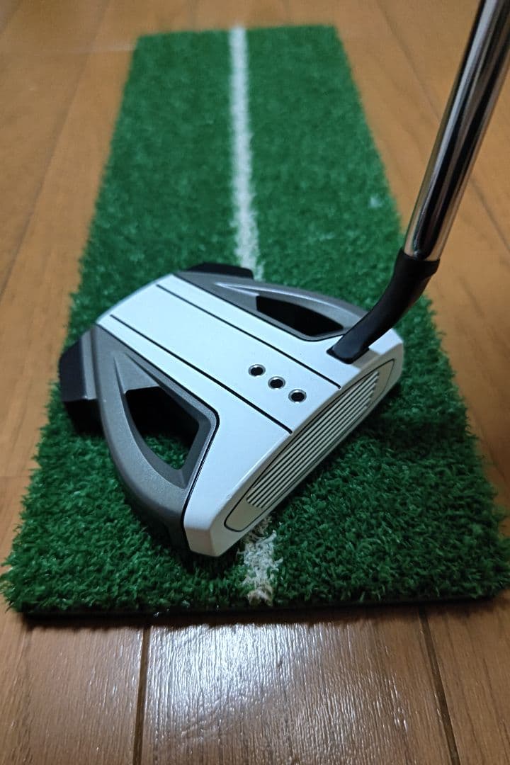 テーラーメイド Spider EX プラチナム SMALL SLANT