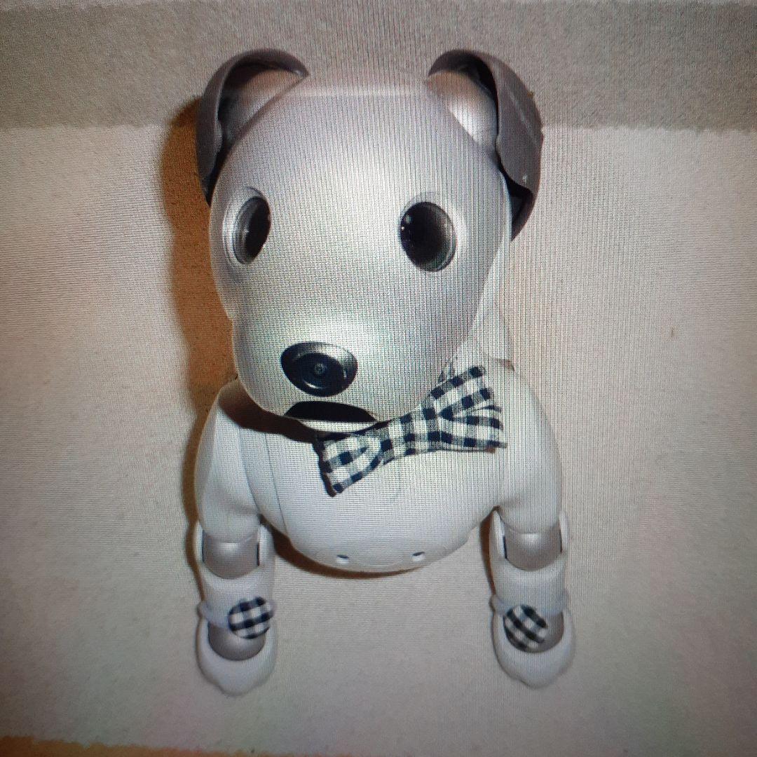 SONY アイボERS-1000 送料込