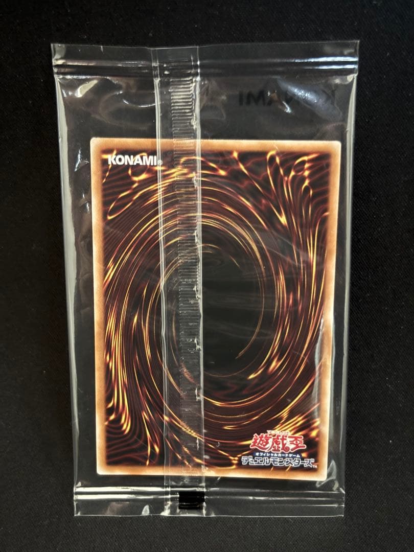 異次元の女戦士 未開封