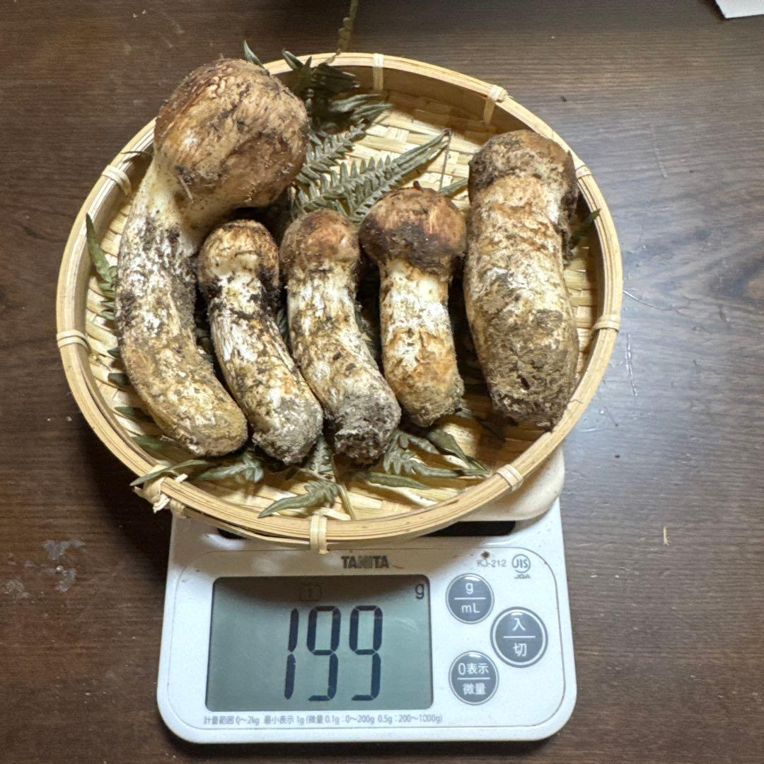 長野県産　松茸　④