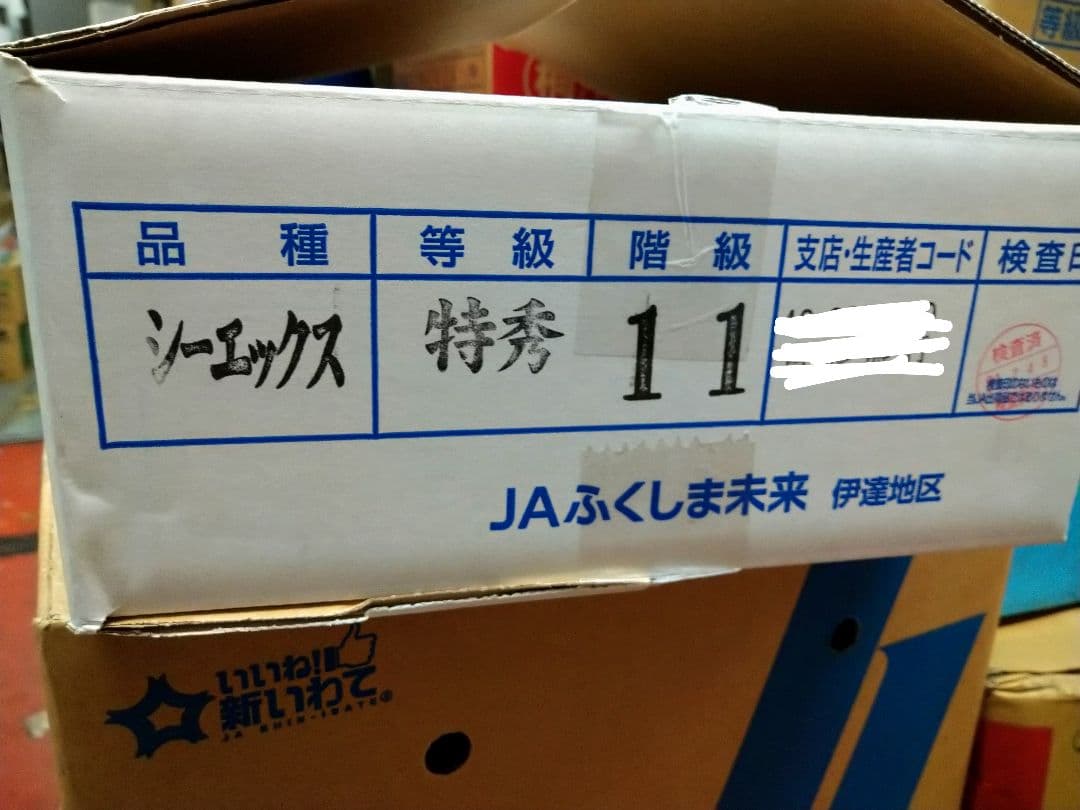 硬い桃(CX／シーエックス)JAふくしま未来11玉