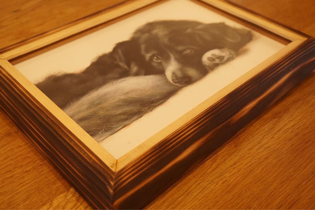 ペットの似顔絵オーダー受付専用