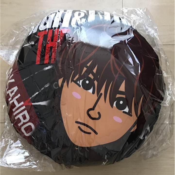 TAKAHIRO クッション