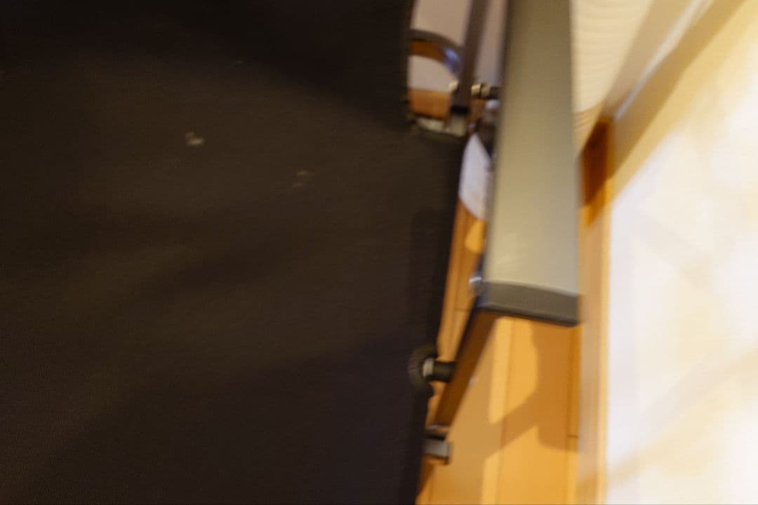 ゼインアーツ ZANE ARTS レードチェア 2脚セット ブラック コヨーテ