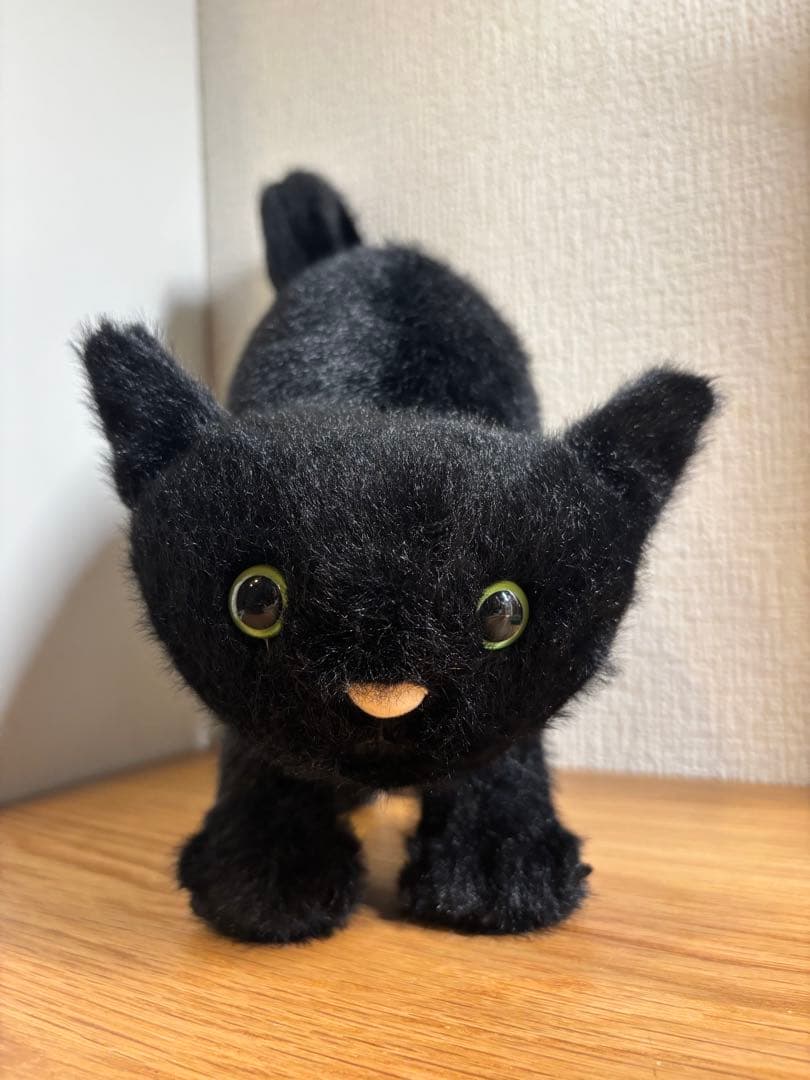 新品　ジェリーキャット　ブラック　ねこ