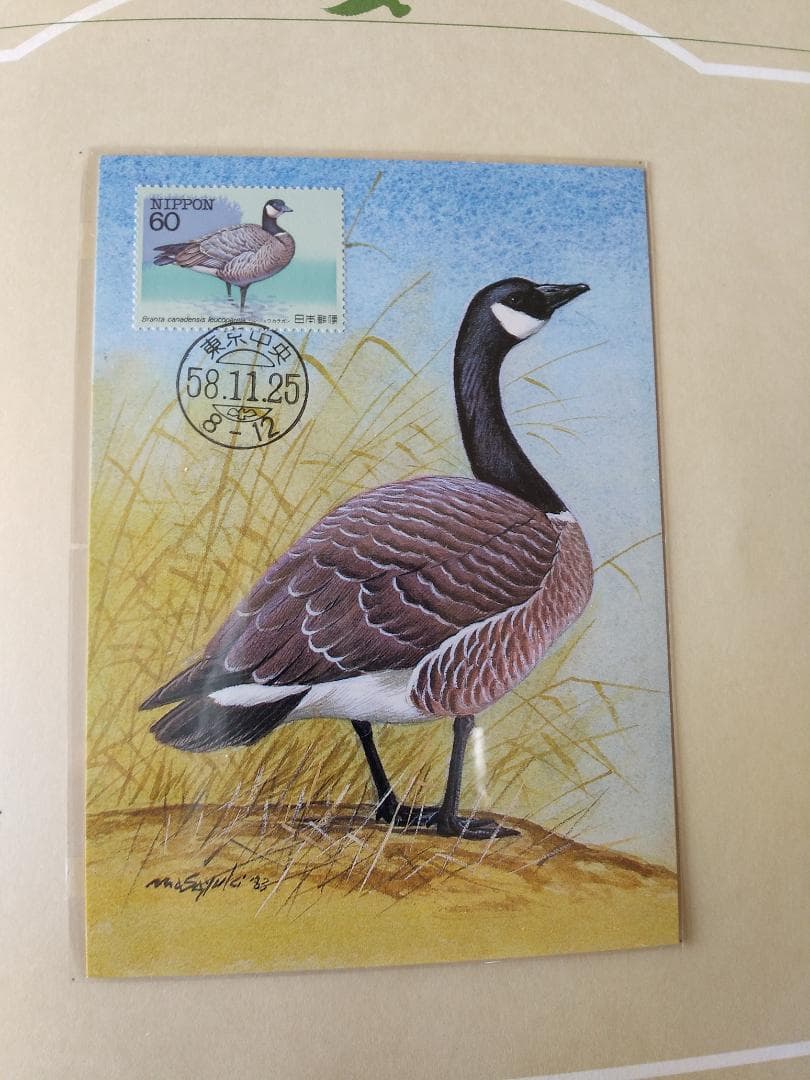 初日カバー マキシマムカード 特殊鳥類シリーズ切手コレクション 22通 新品