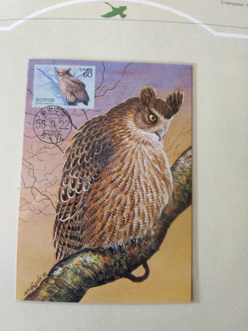 初日カバー マキシマムカード 特殊鳥類シリーズ切手コレクション 22通 新品