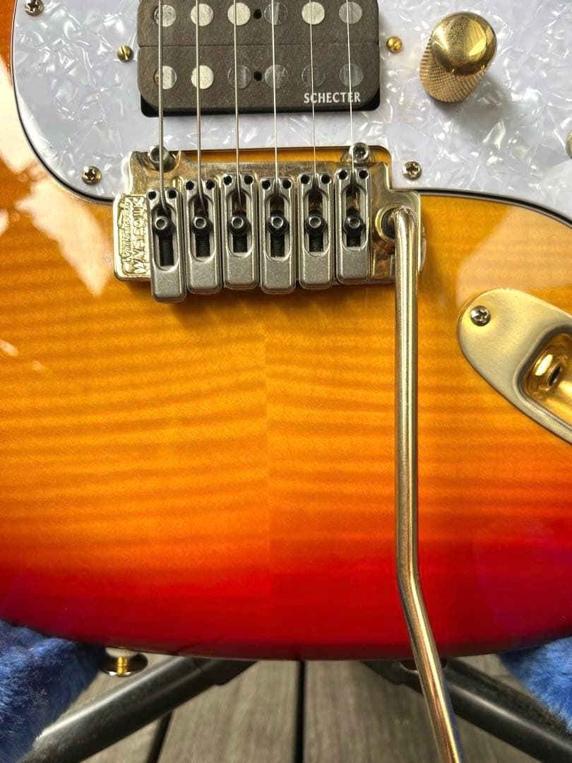 【動作◯】 シェクターネック コンポーネントギター