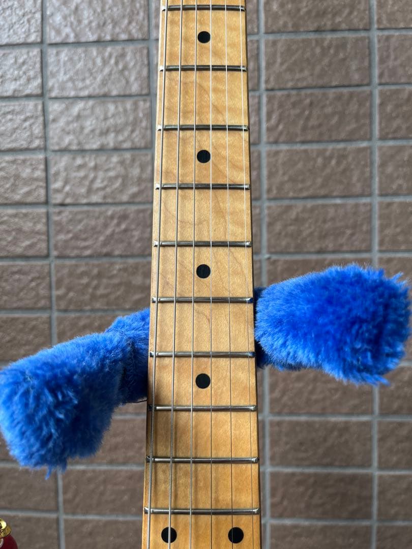 【動作◯】 シェクターネック コンポーネントギター