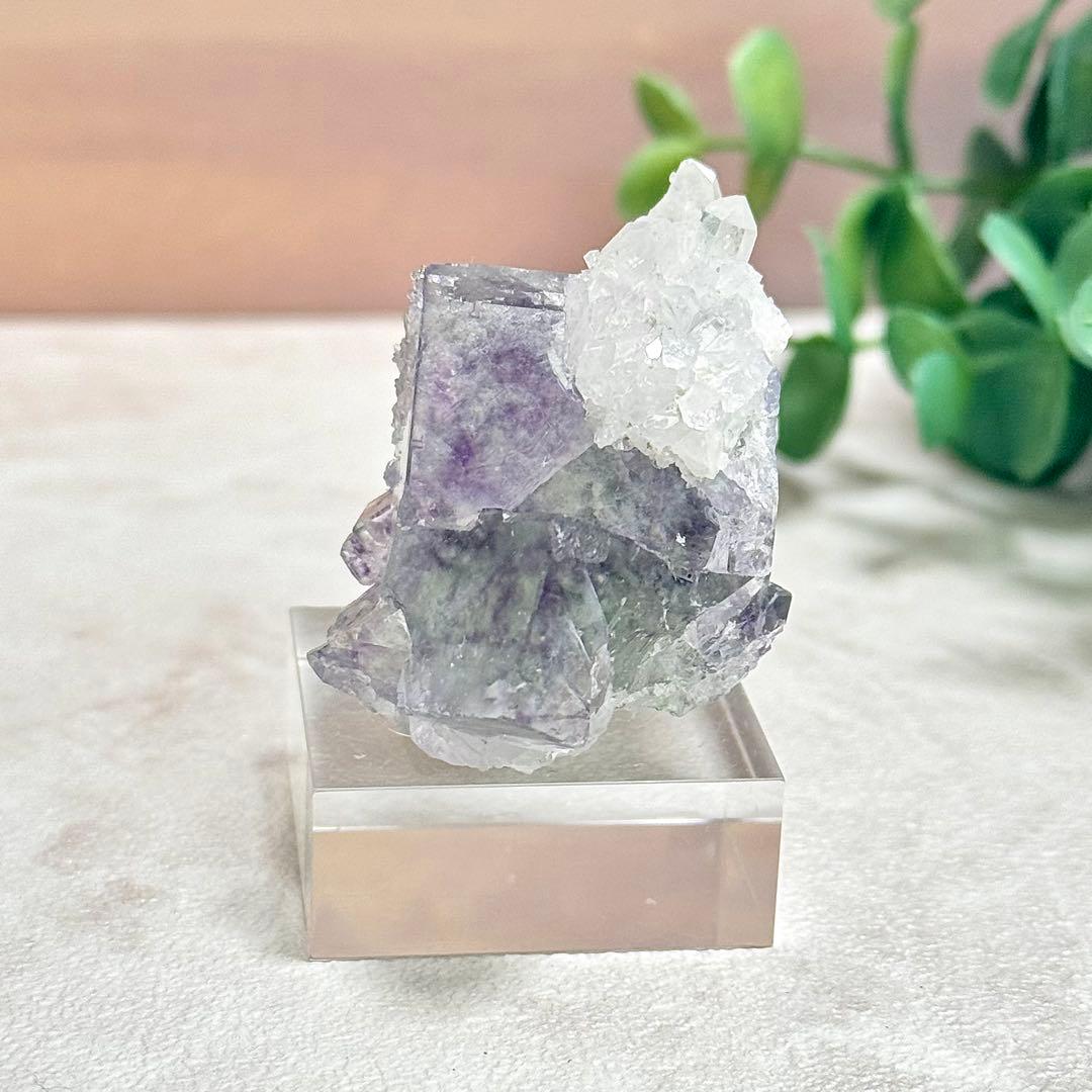 ◆【D021】フローライト 浙江省産 Bタイプ 原石 鉱物 標本