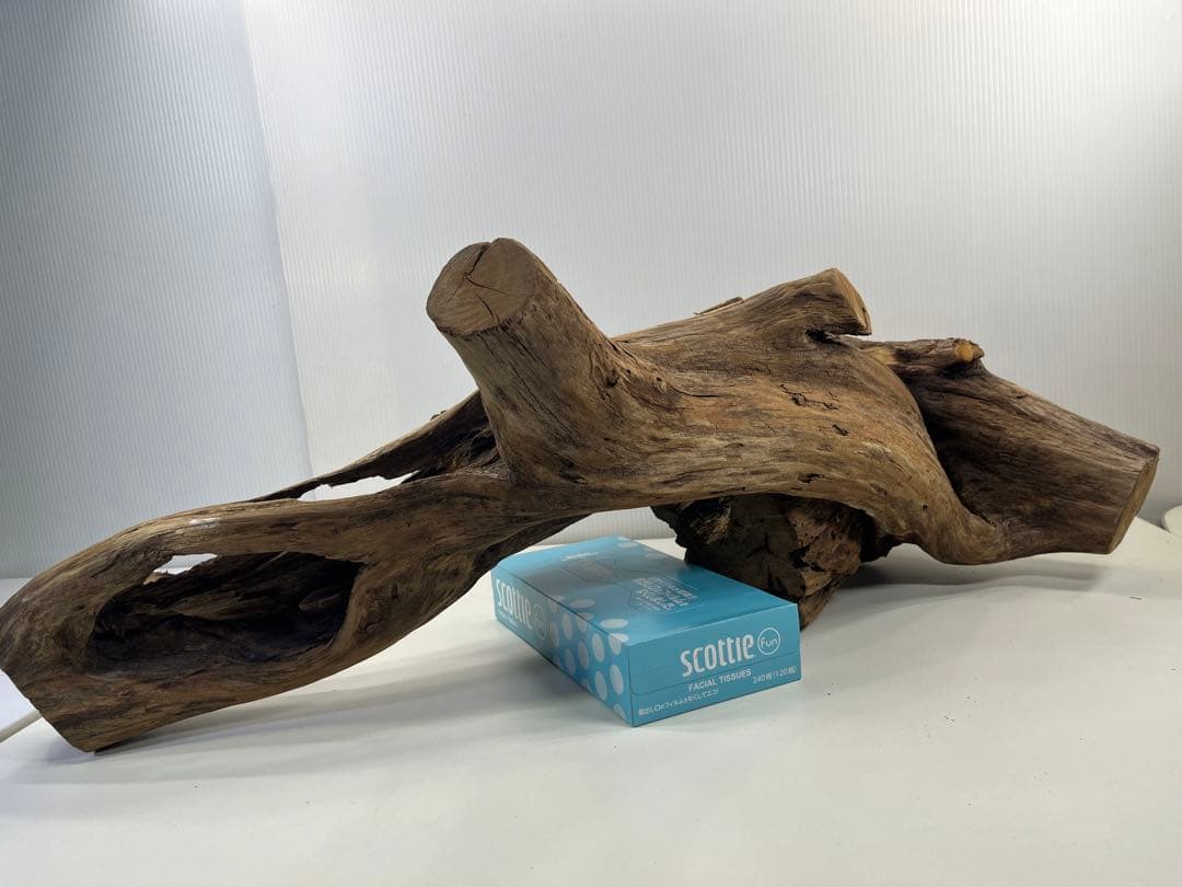 V70特大流木 アク抜き済み流木 爬虫類シェルター 登り木 インテリア 生け花