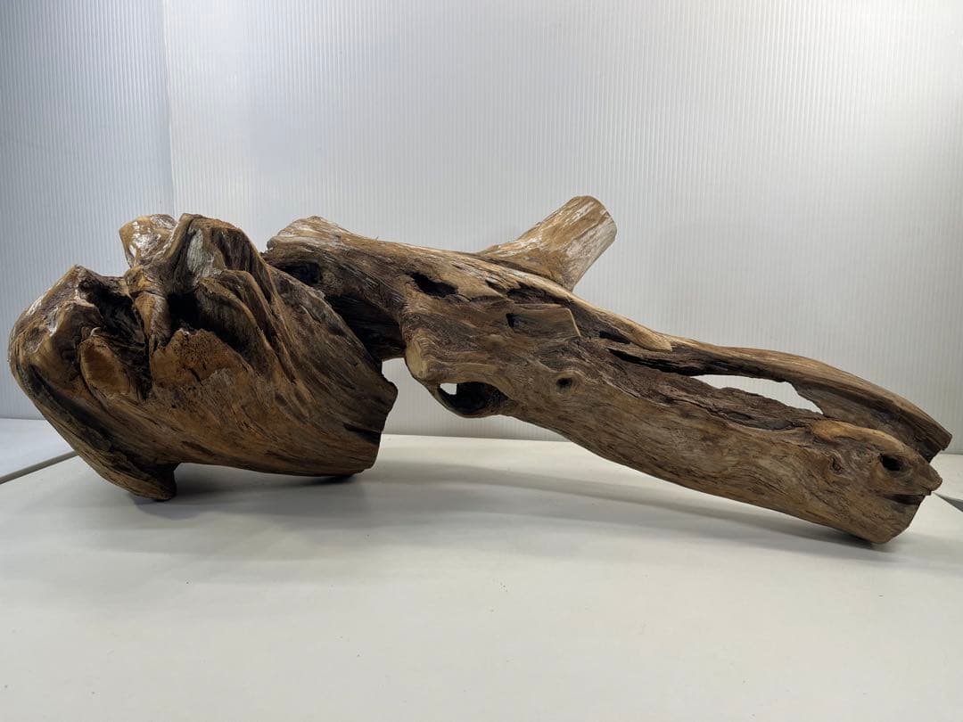 V70特大流木 アク抜き済み流木 爬虫類シェルター 登り木 インテリア 生け花