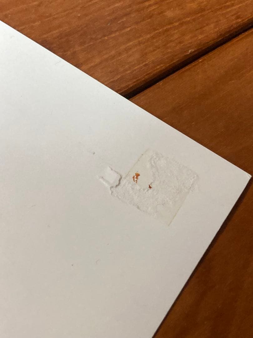 Beck ベック シルクスクリーン ポスター ダレン・グリーリッシュ直筆サイン入