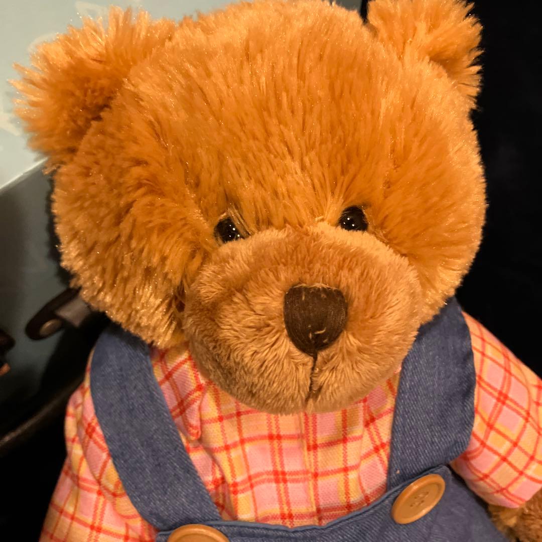 ビルドアベア　着せ替え人形 本体のテディベアと着せ替え各種 ハンドルBOX付き！