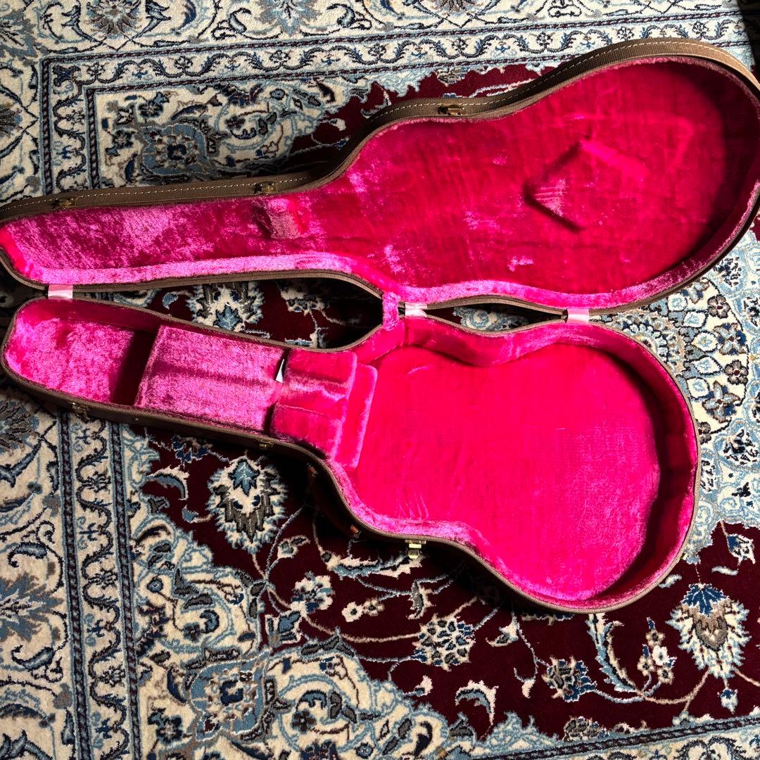 Argus アーガス セミアコ ES-335タイプ フレットエッジバインディング