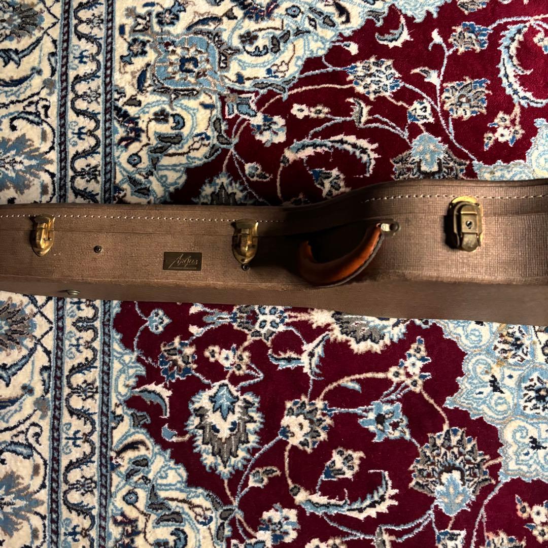 Argus アーガス セミアコ ES-335タイプ フレットエッジバインディング