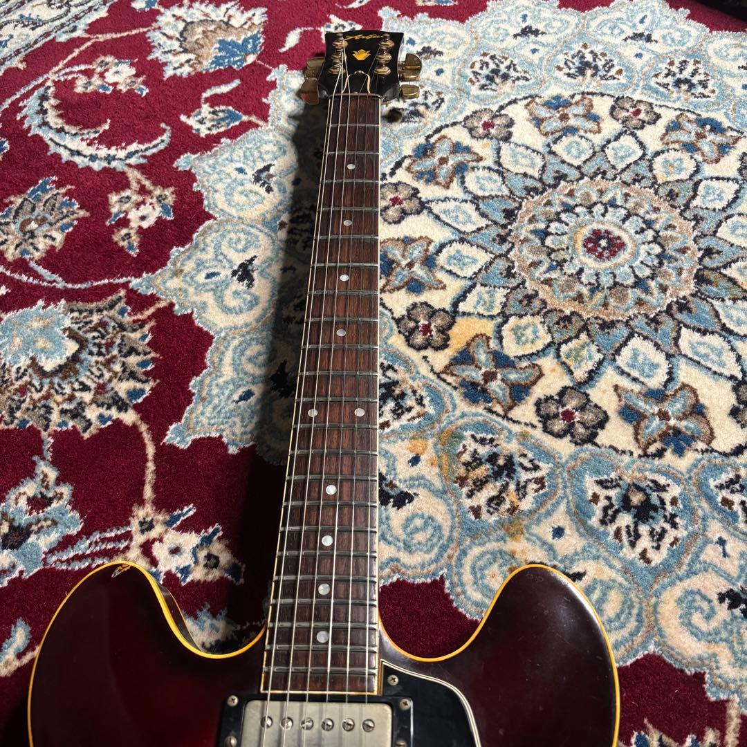 Argus アーガス セミアコ ES-335タイプ フレットエッジバインディング