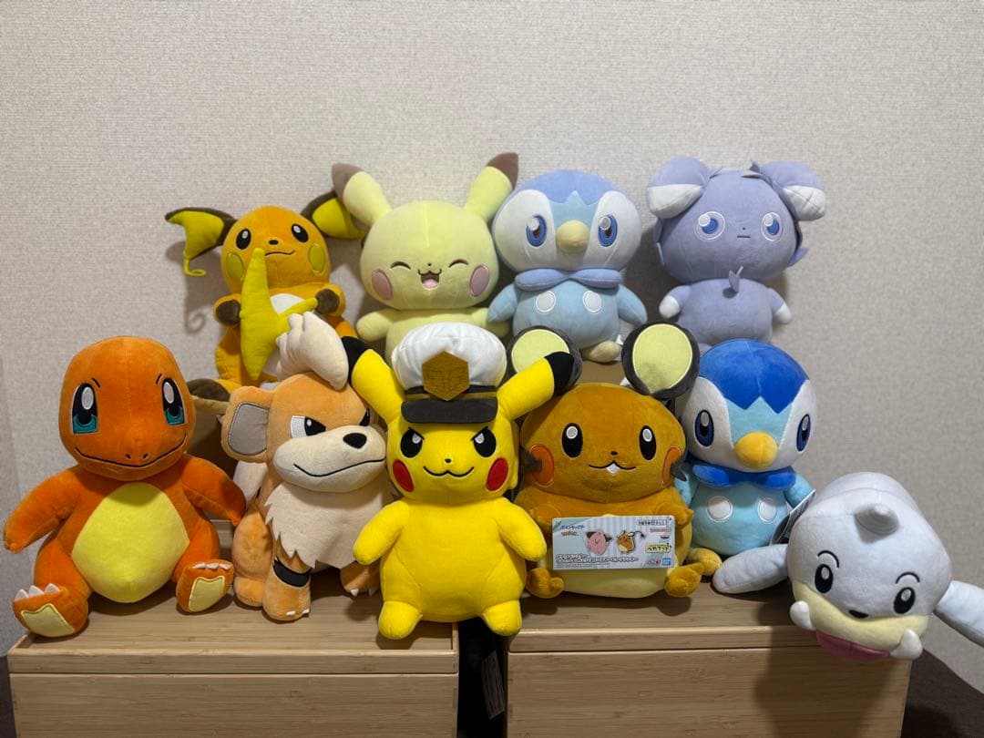 ポケモン ぬいぐるみ 10体セット