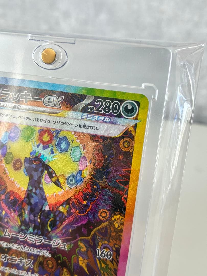 シ*）様 ポケモンカード　ブラッキーSAR1毎日