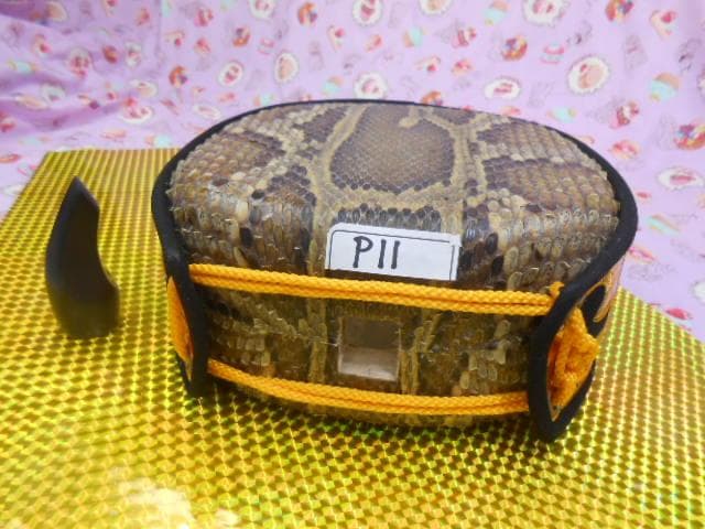 P11現品販売(送料無料)16.980円　沖縄三線専用　蛇皮強化張チーガ、黒檀爪