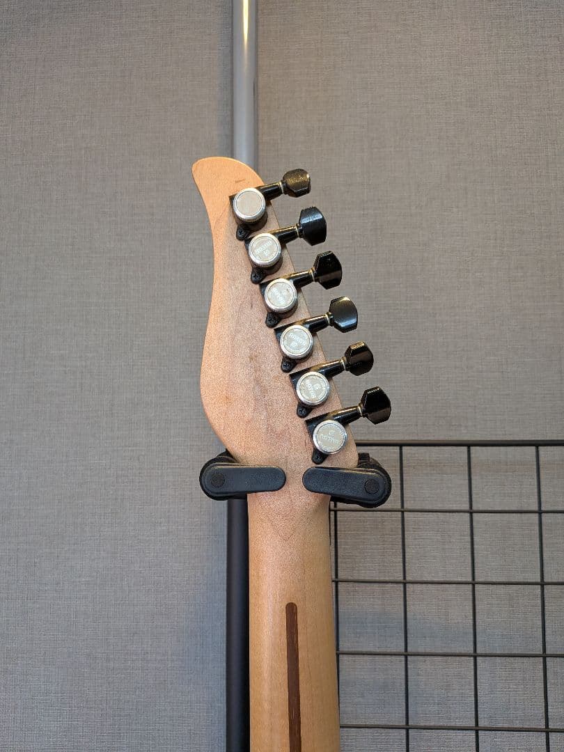 ギター Dragonfly Sottile 666 custom