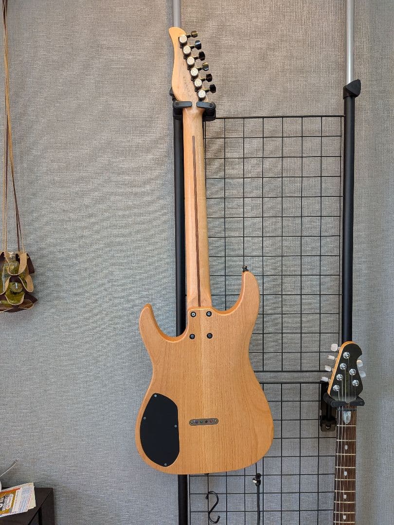 ギター Dragonfly Sottile 666 custom