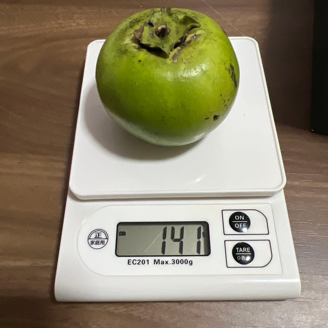 沖縄県産ブラックサポテ