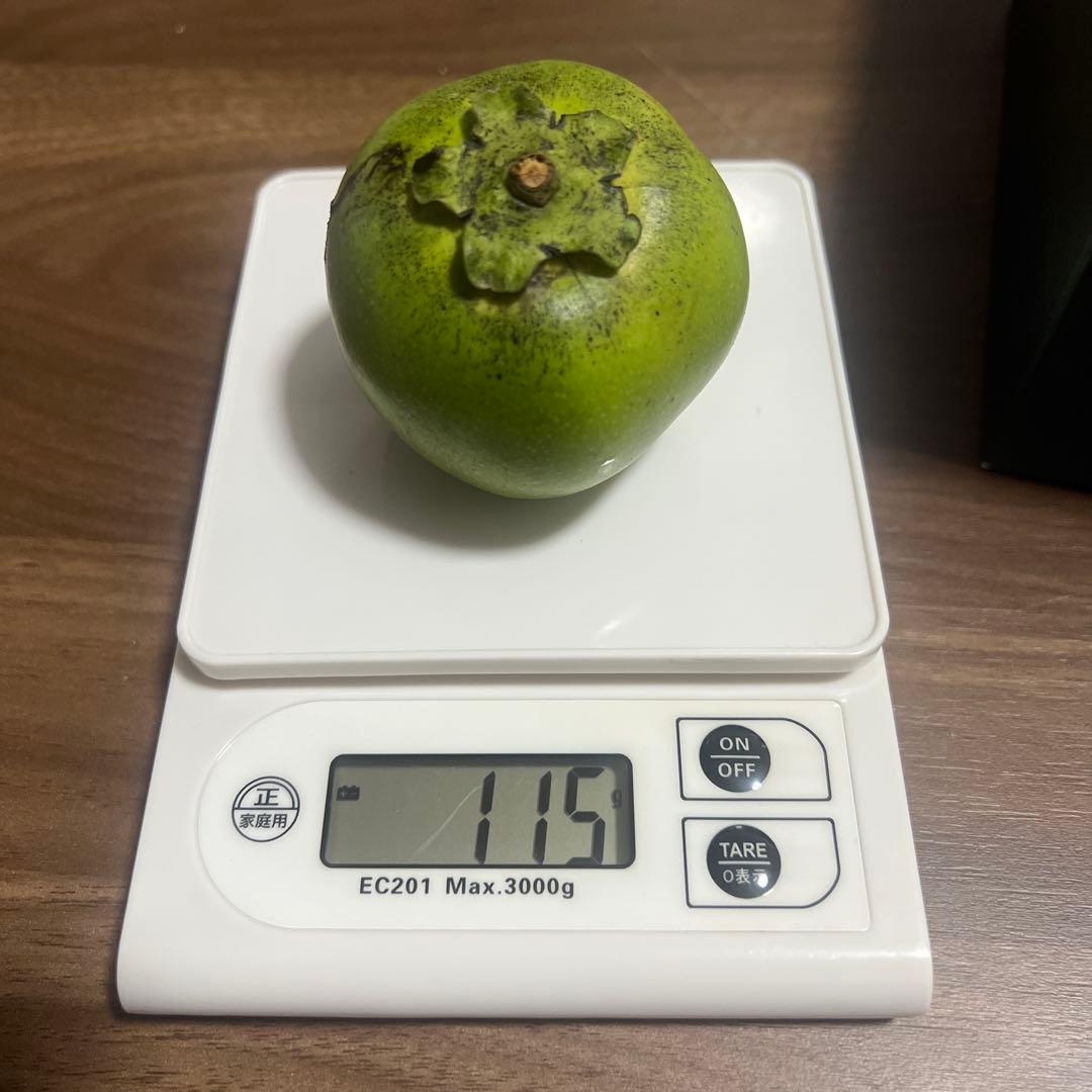 沖縄県産ブラックサポテ