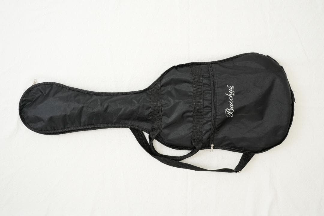 ギター Schecter AD-KM-6 MK-III Keith Merrow KM6