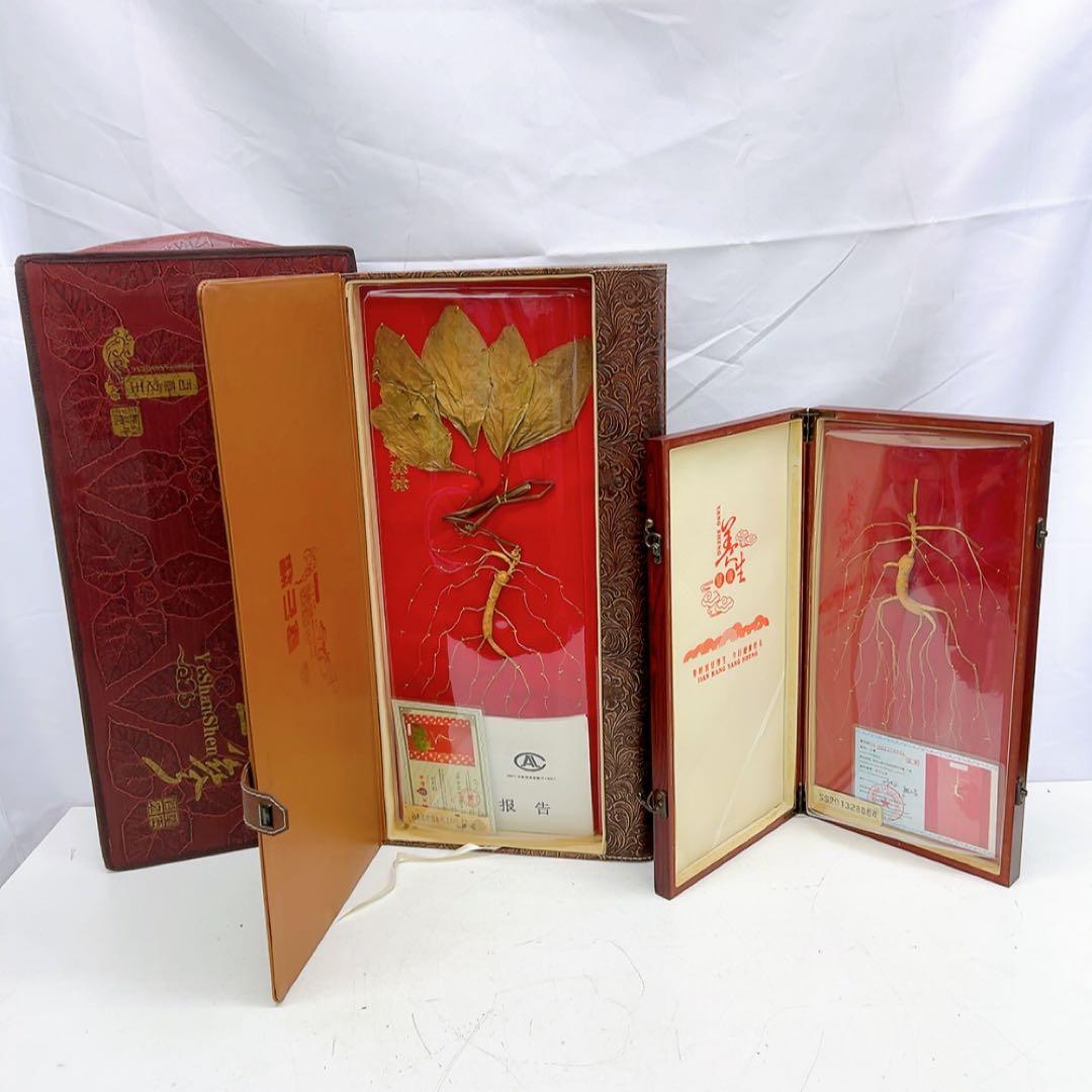 1ADM019 【超希少】野生 山参（サンサム）中国東北部深山 高麗人参