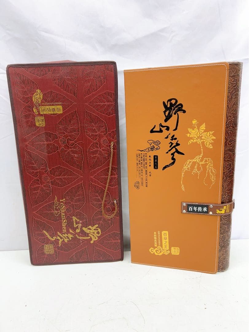 1ADM019 【超希少】野生 山参（サンサム）中国東北部深山 高麗人参