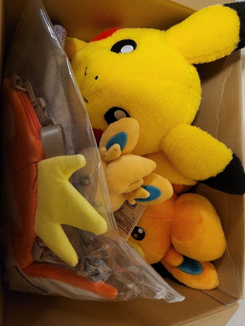 ピカピカボックス 2026 ポケモンセンターオンライン 開封済み 抜き取りなし