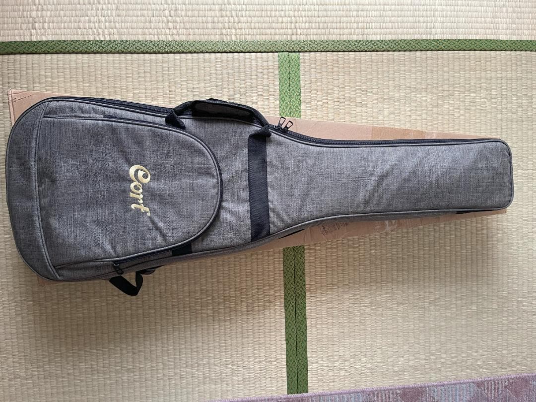 Cort / G300 Proゴールド ハムバッカー搭載・おまけ2点付き特価