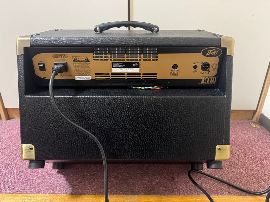 Peavey E110 アコースティックギターアンプ
