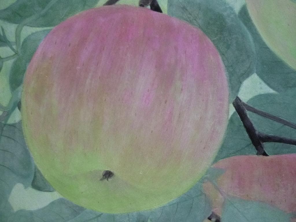 【真作】★絵画★那波多目功一　日本画6号　秋果　共シール　箱・黄袋入★L87