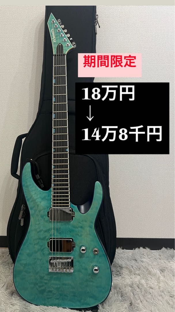 【1週間限定:お値引き】EDWARDS E-HR-SNT