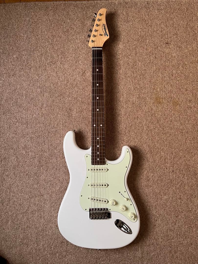 Rrovidence pS-204RSC OWH エレキギター